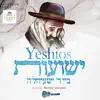 Moishy Schwartz - Yeshios - Single
